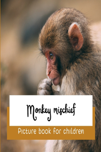 Monkey mischief