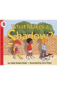 What Makes a Shadow?