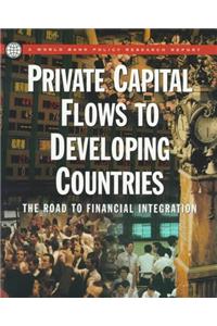 Private Capital Flows to Developing Countries