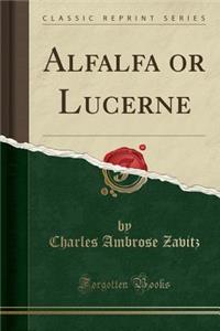 Alfalfa or Lucerne (Classic Reprint)