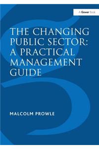 The Changing Public Sector: A Practical Management Guide