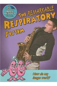 Remarkable Respiratory System: How Do My Lungs Work?
