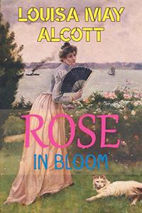 Rose in Bloom