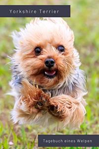 Yorkshire Terrier Tagebuch eines Welpen