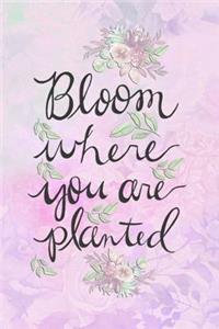 Bloom Where You Are Planted