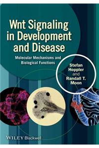 Wnt Signaling in Development and Disease