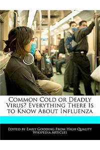 Common Cold or Deadly Virus? Everything There Is to Know about Influenza