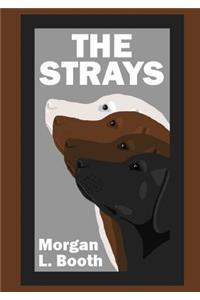 Strays