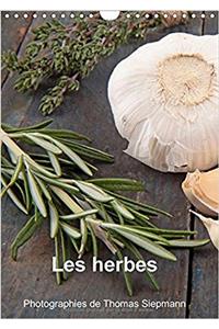 Les Herbes 2017