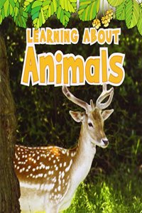 Learning About Animals