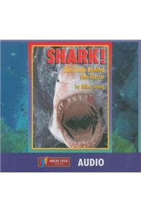Shark!