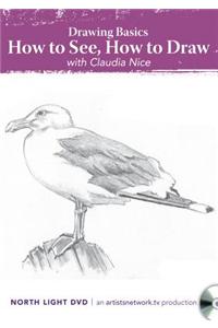 Drawing Basics, How to See, How to Draw with Claudia Nice