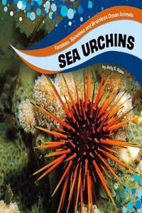 Sea Urchins