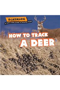 How to Track a Deer