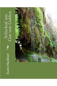 Schicksal um Gut von Gahlen