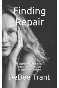 Finding Repair - Blessed But Broken