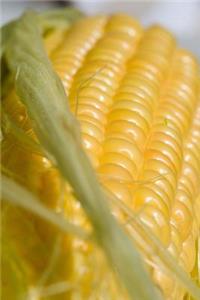Corn on the Cob Vegetable Journal
