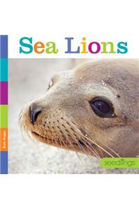 Seedlings Sea Lions