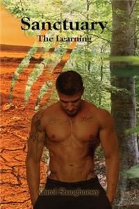 Sanctuary - The Learning