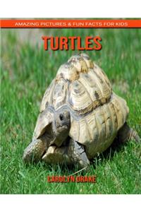 Turtles