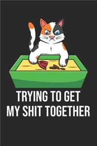 Trying To Get My Shit Together