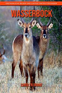 Wasserbock