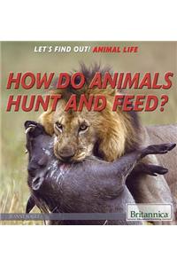 How Do Animals Hunt and Feed?