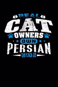 Real Cat Owners Own Persian Cats