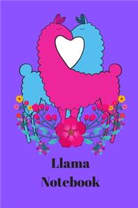 llama notebook