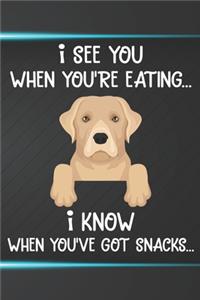 I See You When You're Eating I Know When You've Got Snacks Notebook Journal