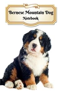 Bernese Mountain Dog Notebook