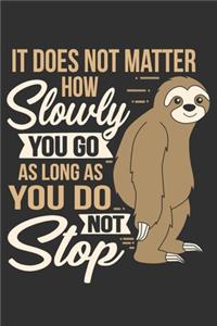 It Does Not Matter How Slowly You Go As Long As You Do Not Stop