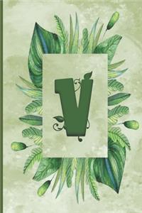 V