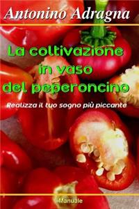 Coltivazione in Vaso del Peperoncino