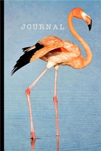 Journal