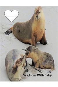 Sea Lions with Baby on Cover for collegeruledlinedpaper Composition Book