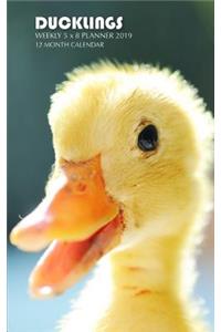 Ducklings Weekly 5 X 8 Planner 2019