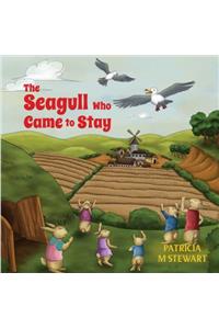 Seagull Who Came To Stay