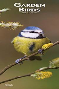 Garden Birds 2020 Slim Calendar