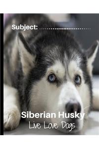 Siberian Husky - Live Love Dogs!