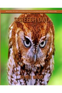 Screech Owl