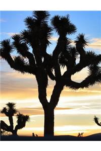 Desert Landscape Sunset Cactus Notebook