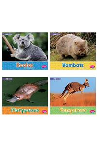 Australian Animals