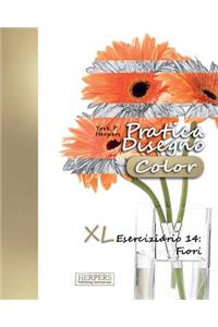 Pratica Disegno [Color] - XL Eserciziario 14