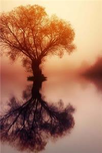 Tree Reflected on a Pond in the Morning Fog Journal