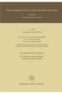 Die Mechernicher Triasbucht