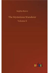 Mysterious Wanderer