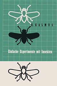Einfache Experimente Mit Insekten