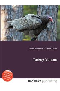 Turkey Vulture