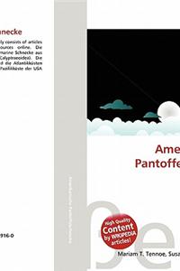 Amerikanische Pantoffelschnecke